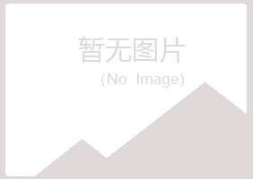 铁法夏岚舞蹈有限公司